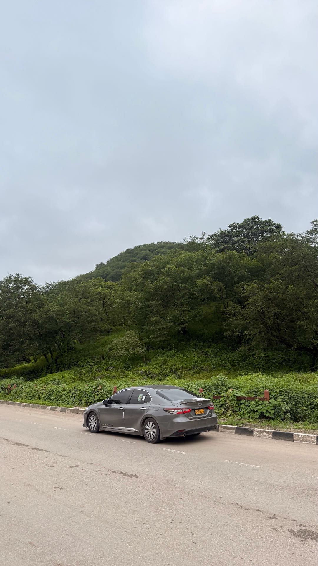 Car Image 2019 TOYOTA CAMRY LE