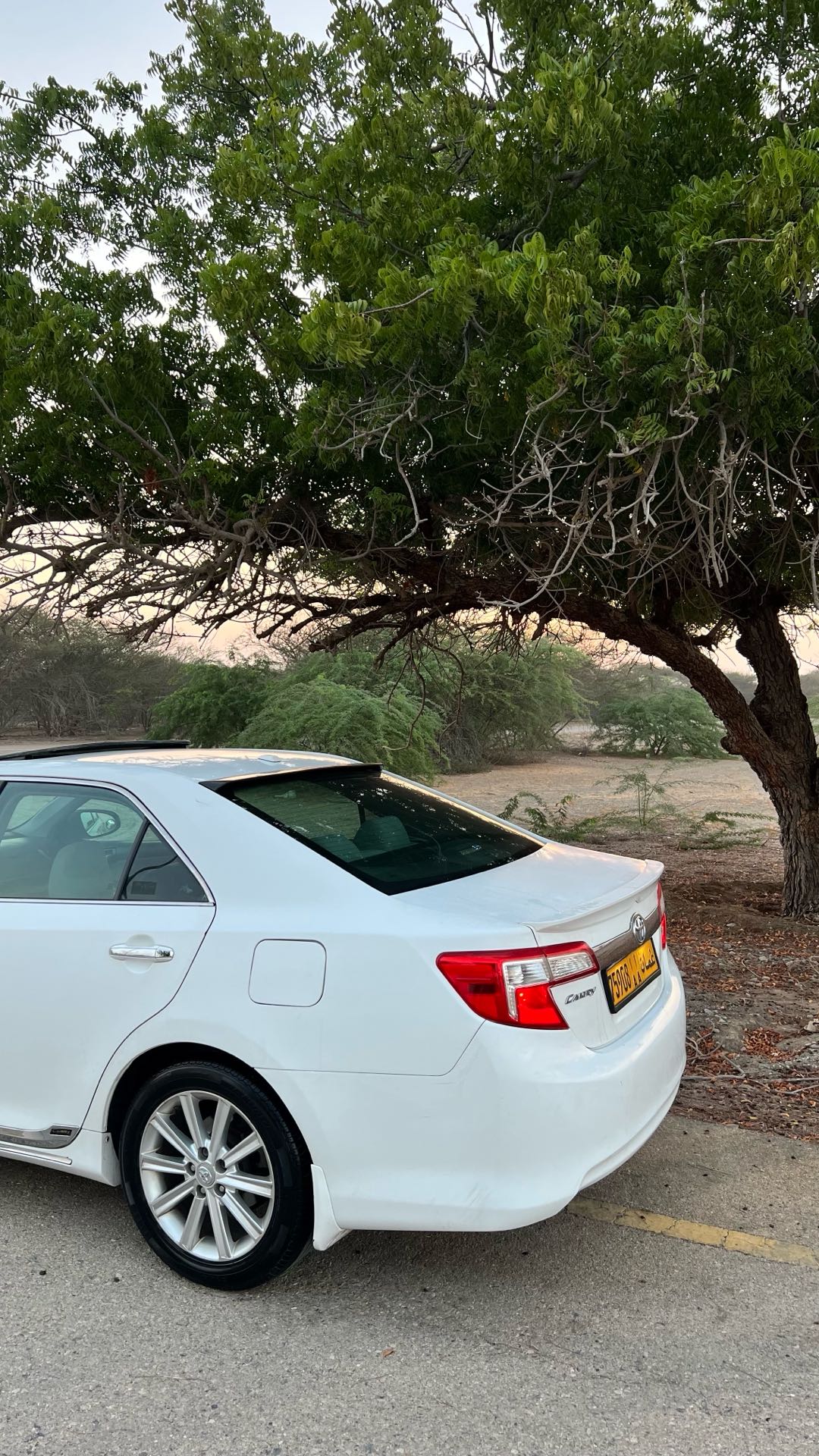 Car Image 2012 TOYOTA CAMRY XLE