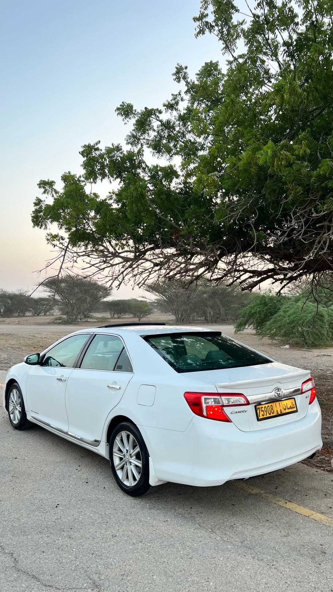 Car Image 2012 TOYOTA CAMRY XLE