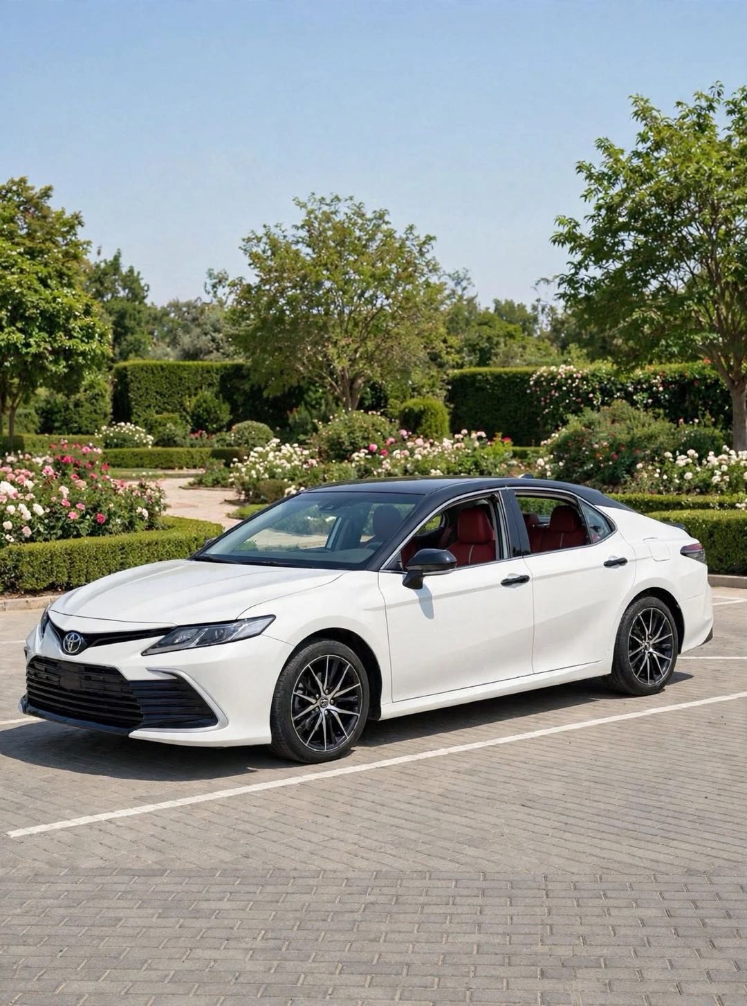 TOYOTA CAMRY 2023