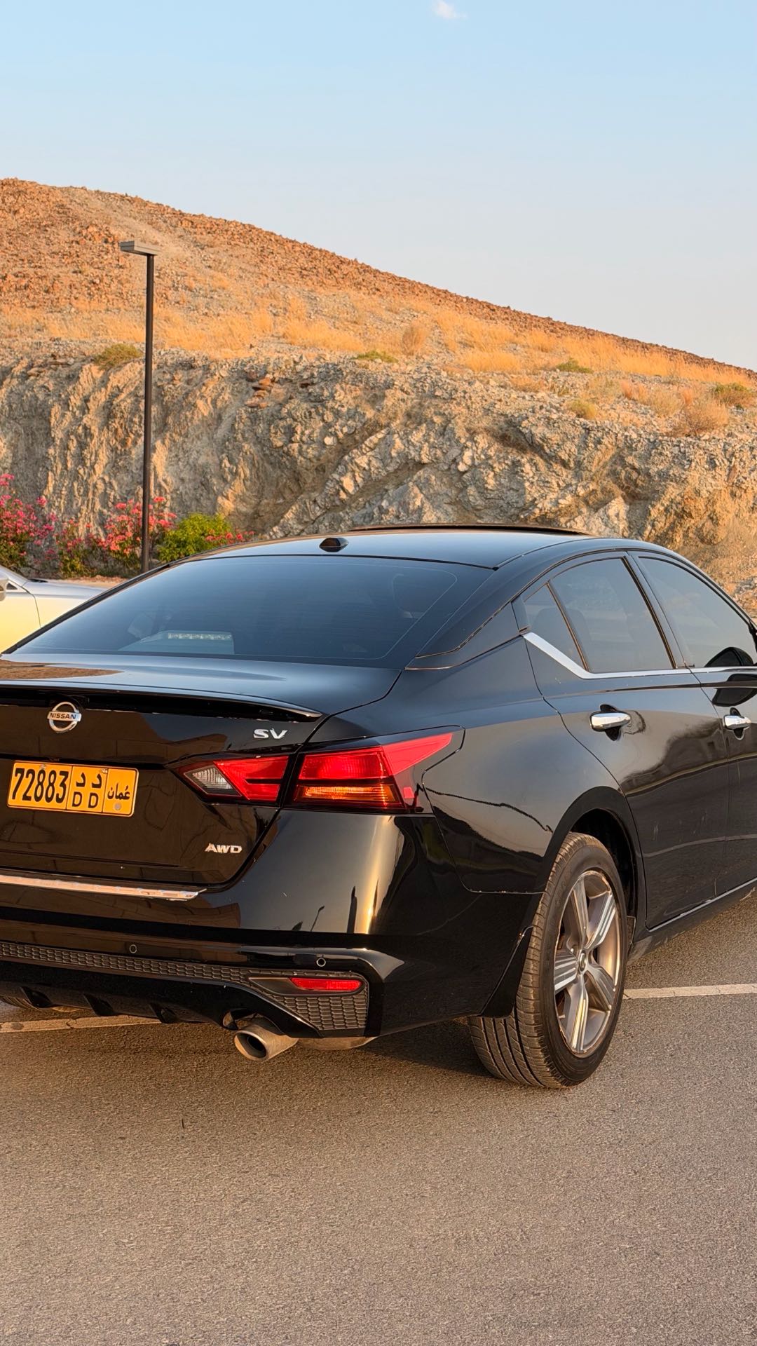 Car Image 2019 NISSAN ALTIMA SV