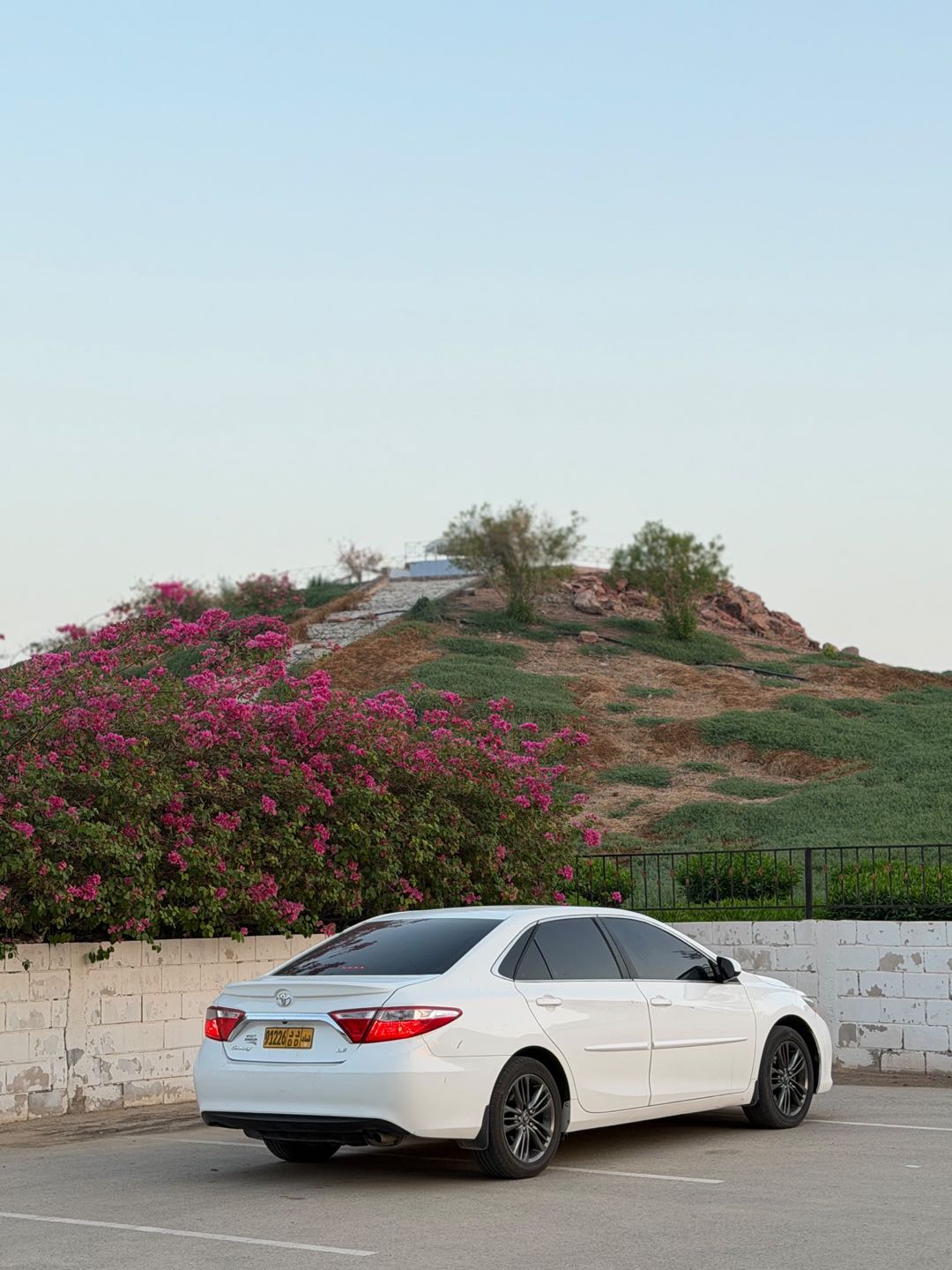 Car Image 2017 TOYOTA CAMRY LE