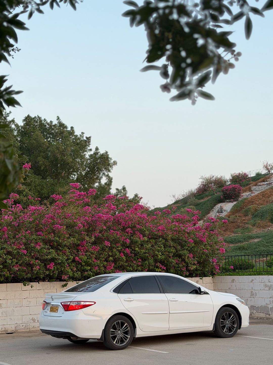 Car Image 2017 TOYOTA CAMRY LE
