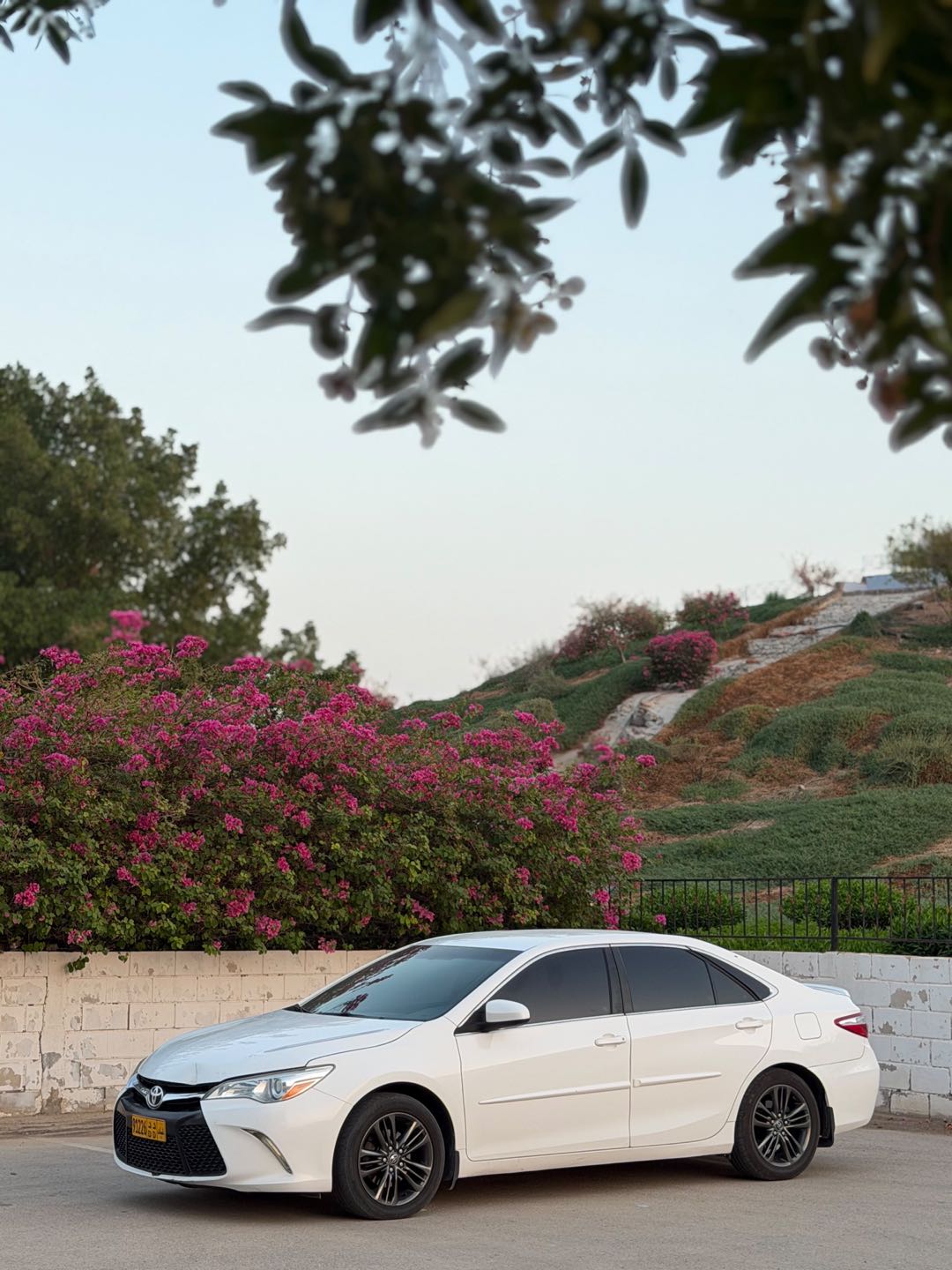 Car Image 2017 TOYOTA CAMRY LE