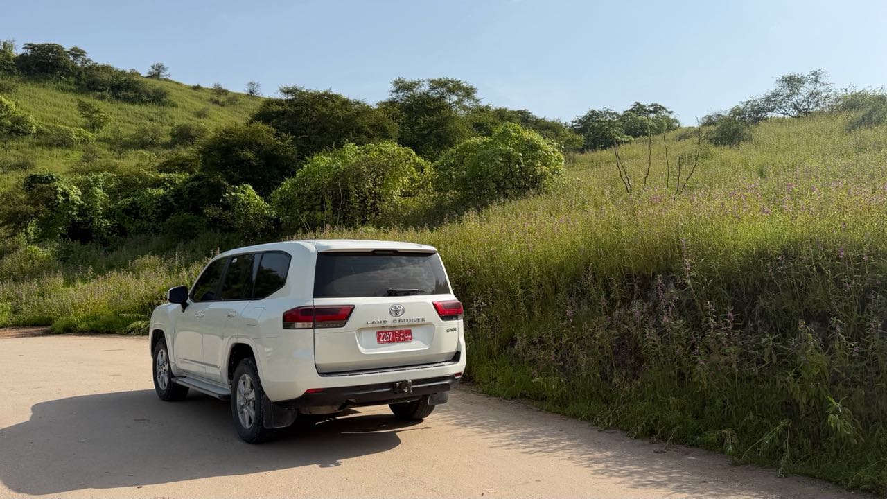 TOYOTA LAND CRUISER 2024