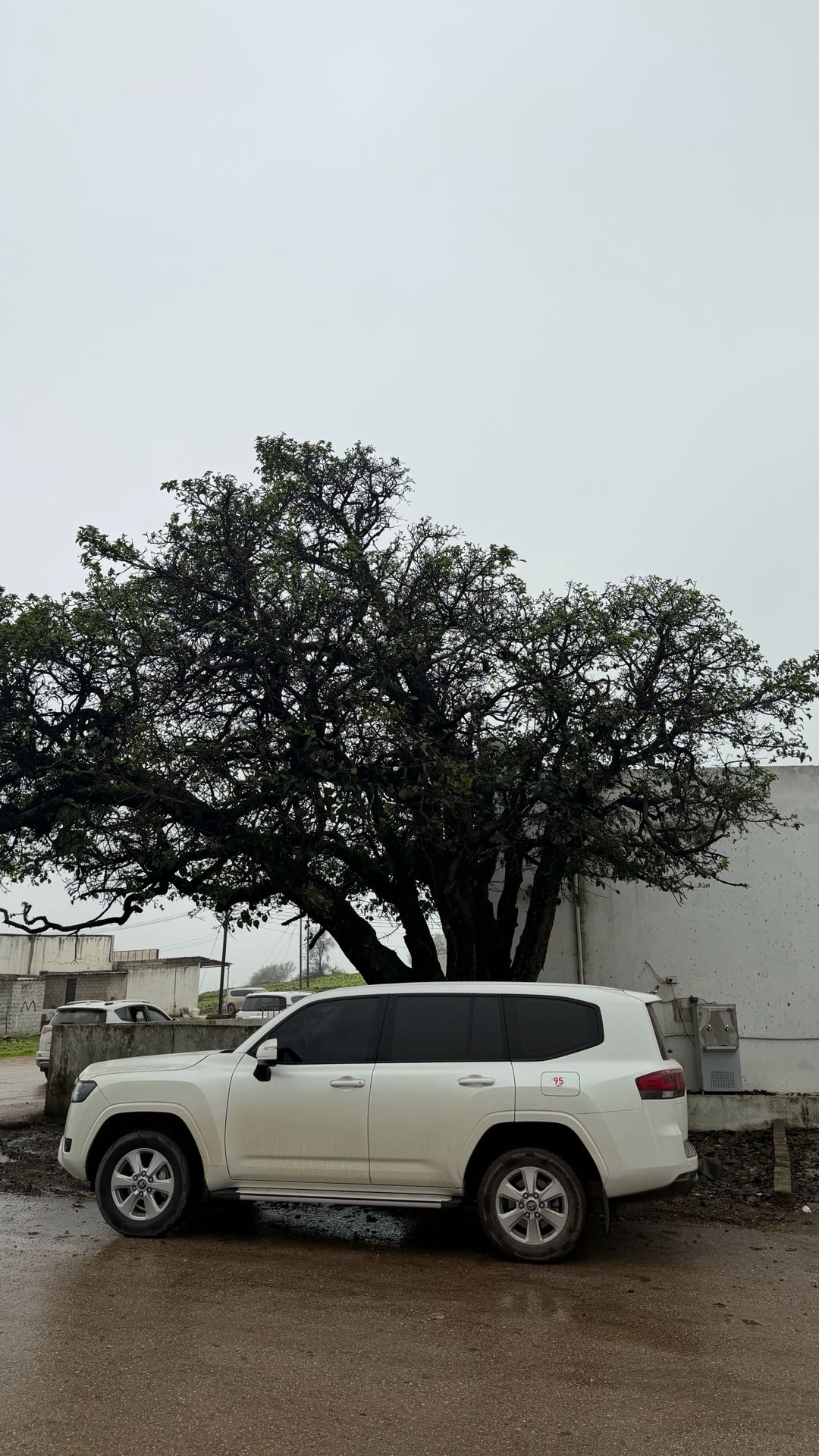 TOYOTA LAND CRUISER 2024