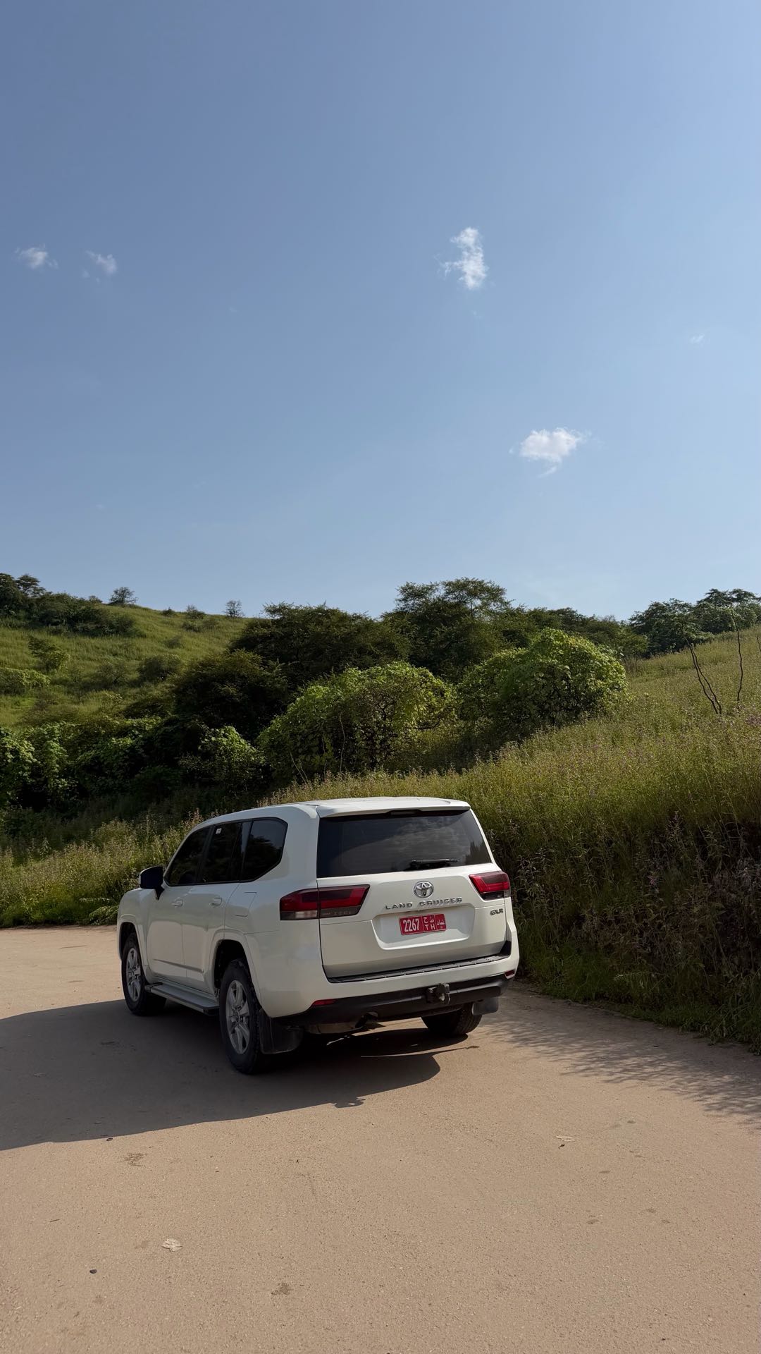 TOYOTA LAND CRUISER 2024