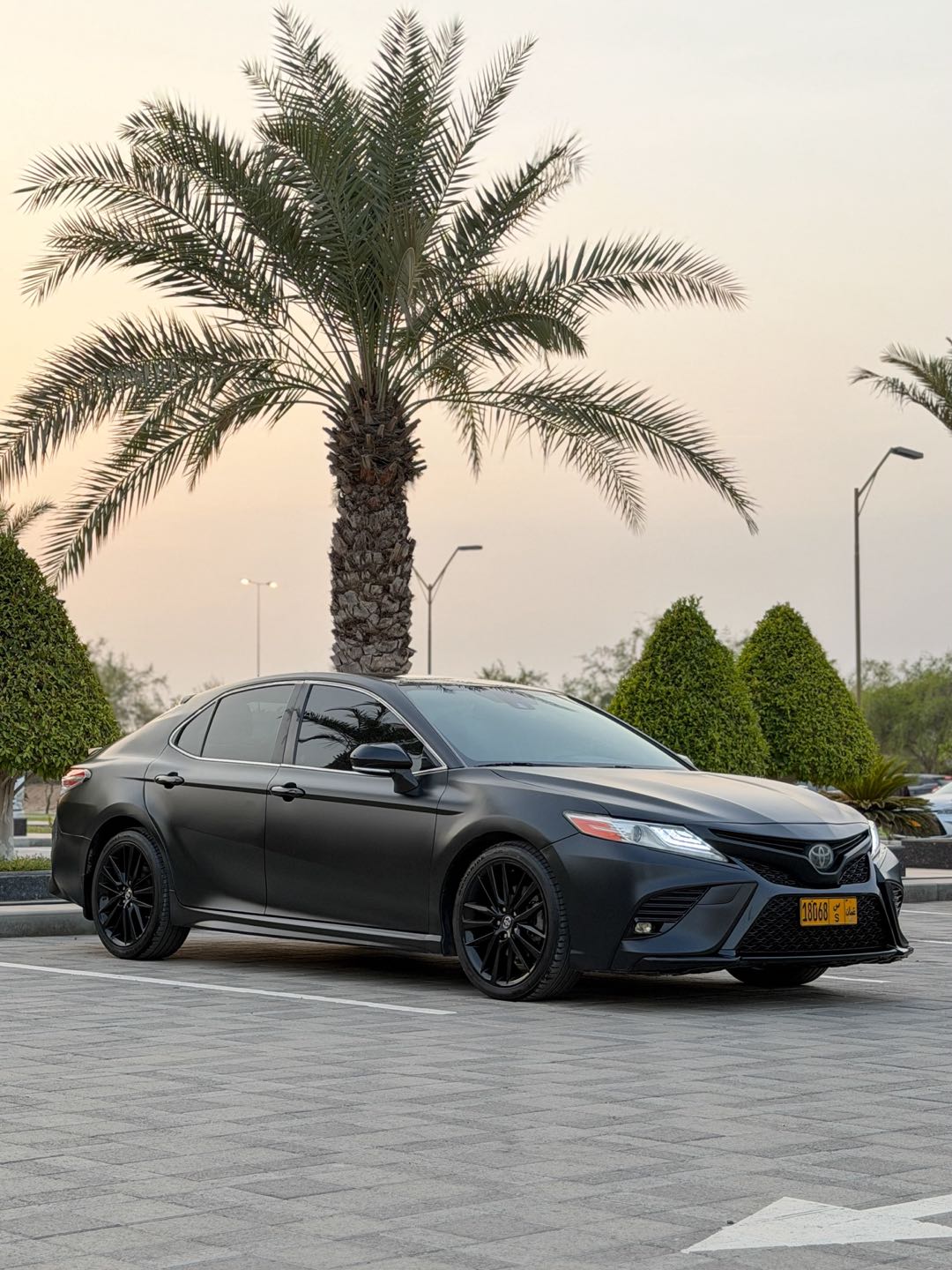Car Image 2019 TOYOTA CAMRY XSE