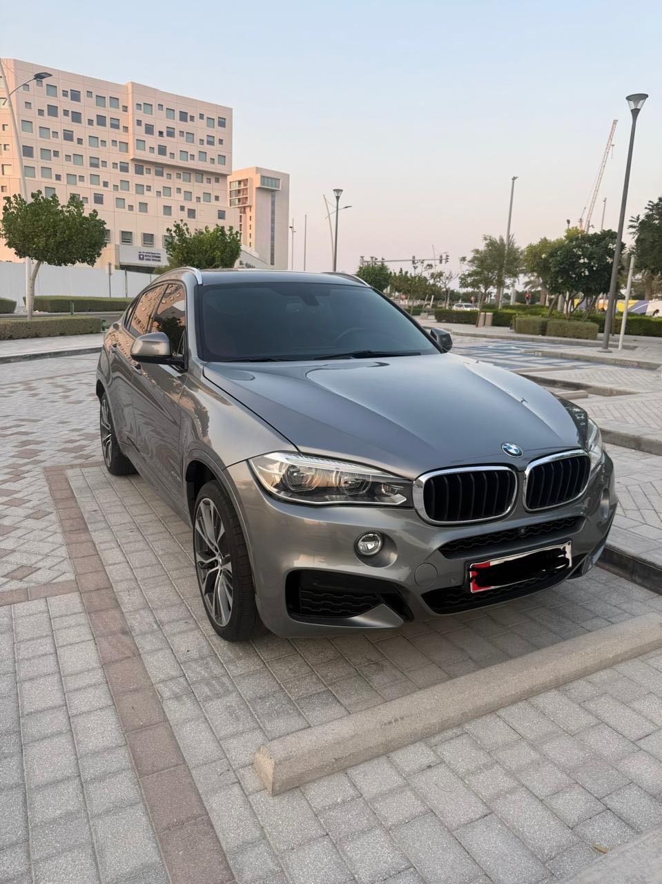 Car Image 2018 BMW X6 M