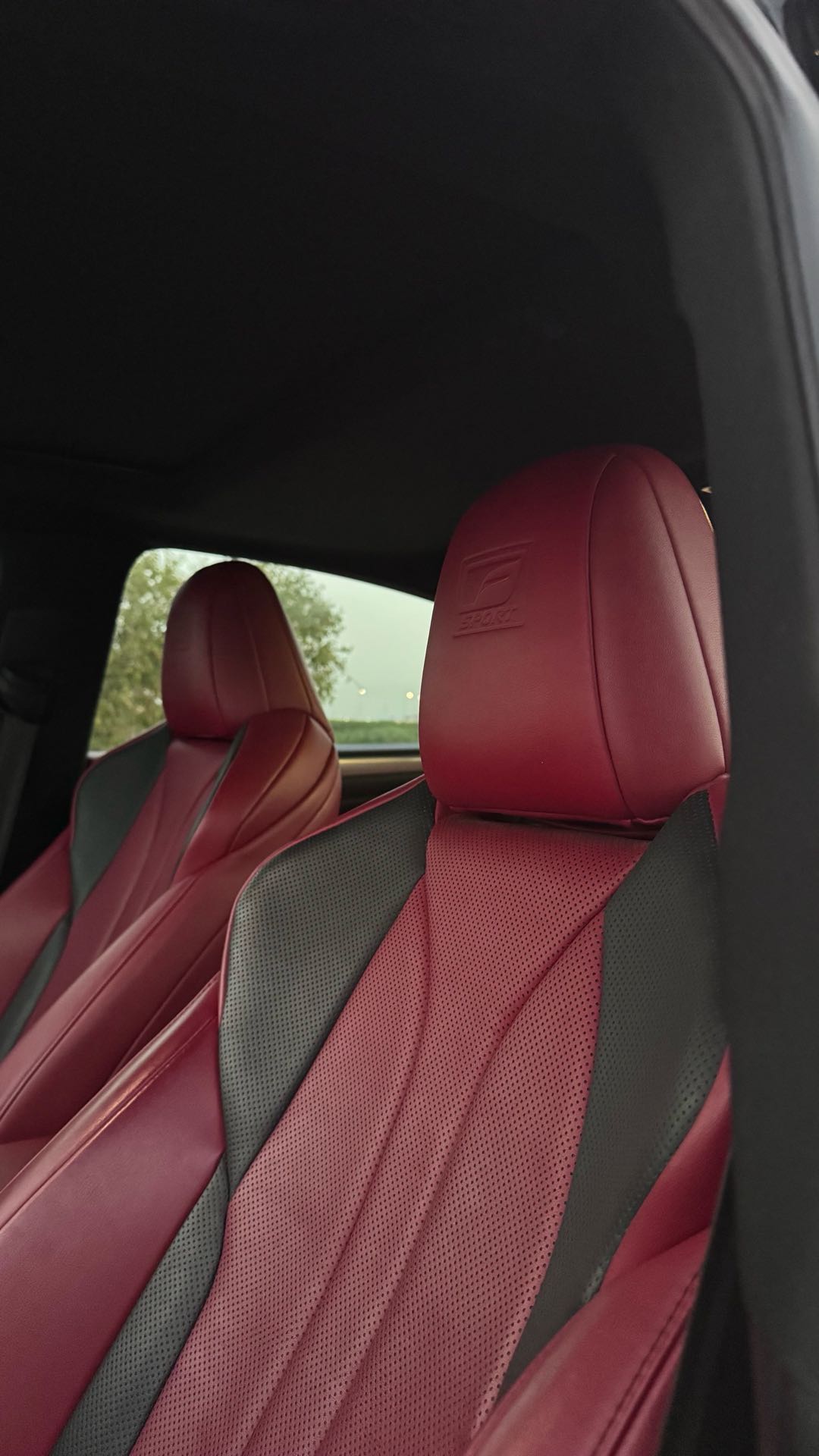 Car Image 2019 LEXUS ES 350 F-Sport
