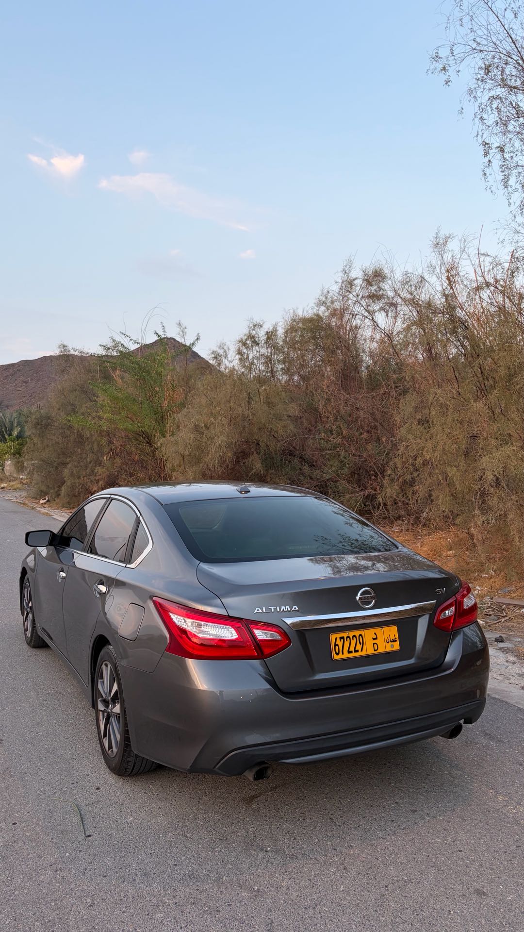 Car Image 2017 NISSAN ALTIMA SV