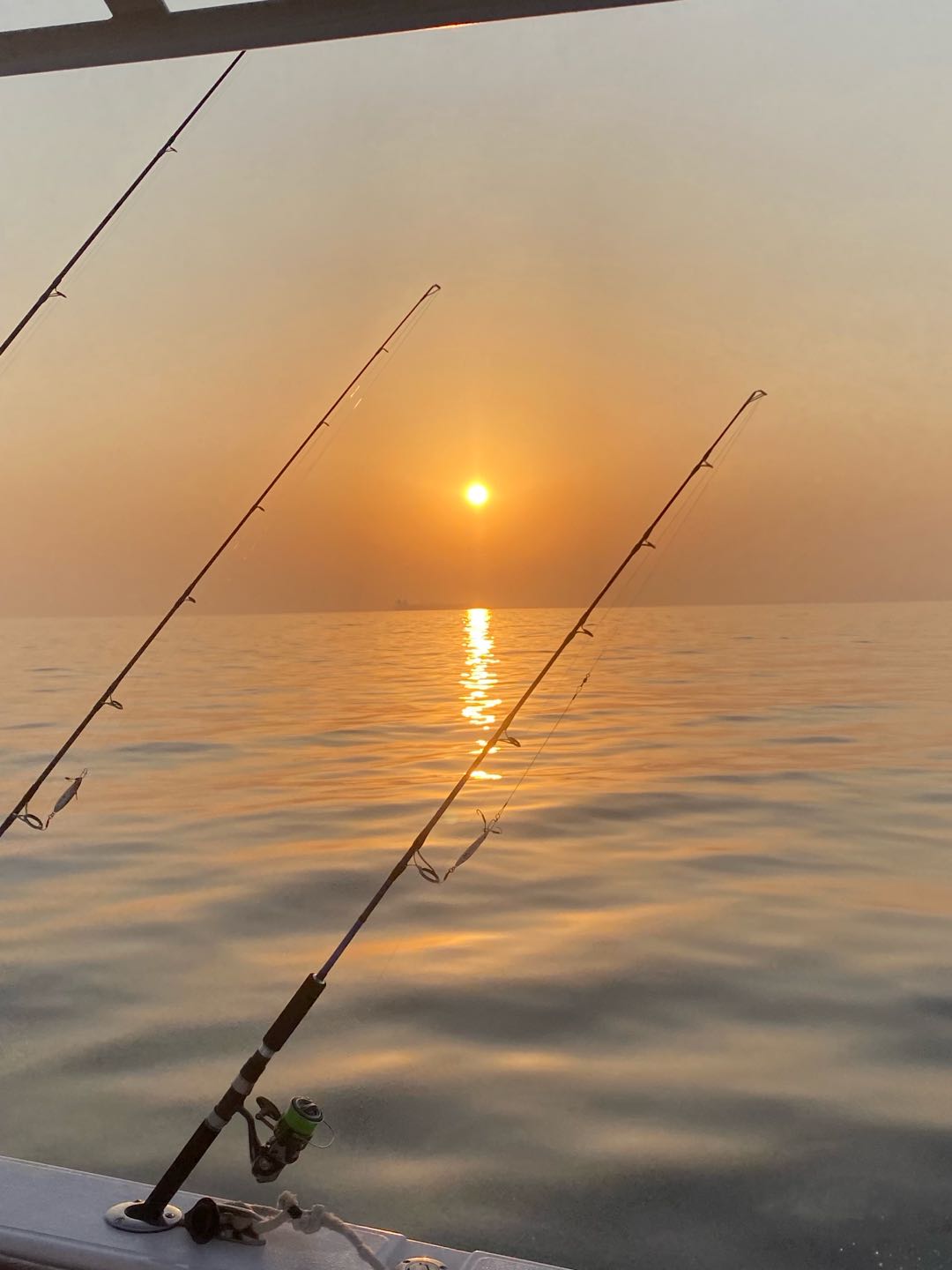 أخرى قارب 2018