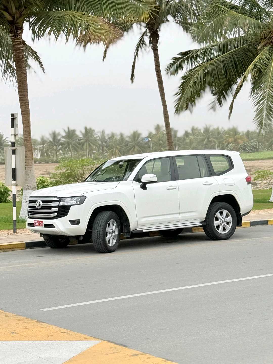 TOYOTA LAND CRUISER 2024