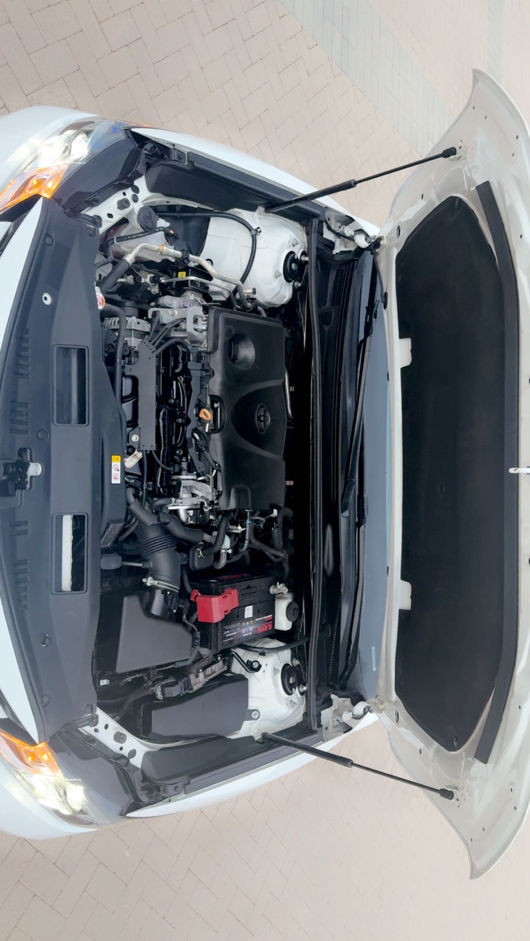 Car Image 2019 TOYOTA CAMRY LE