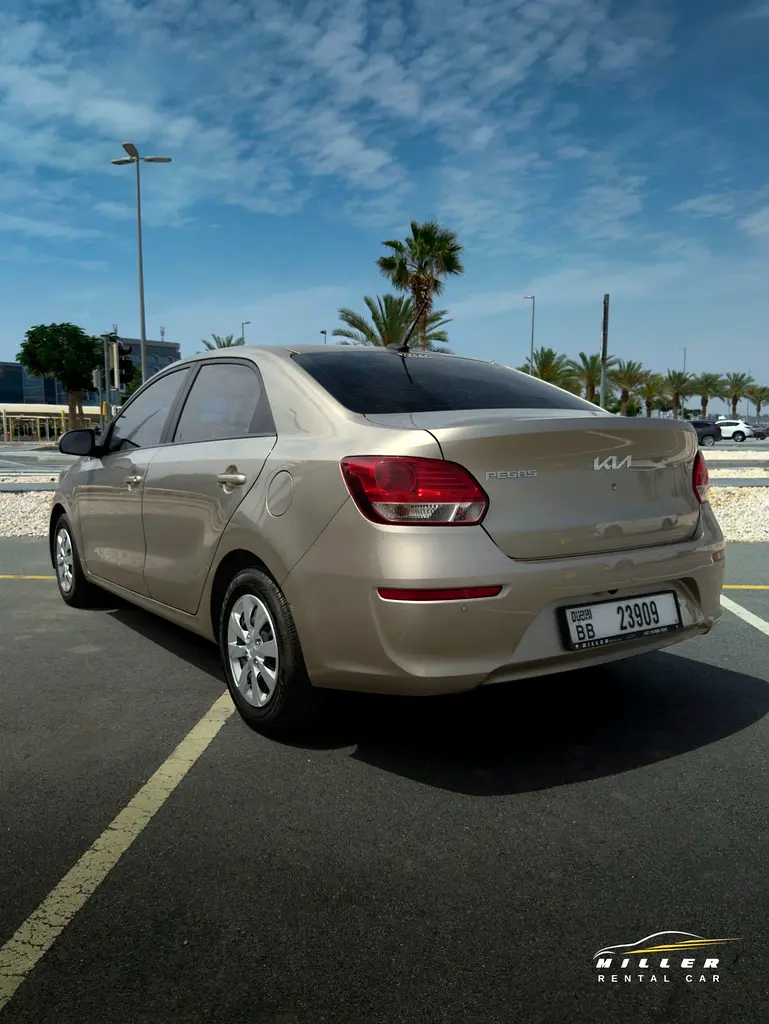 KIA PEGAS 2024