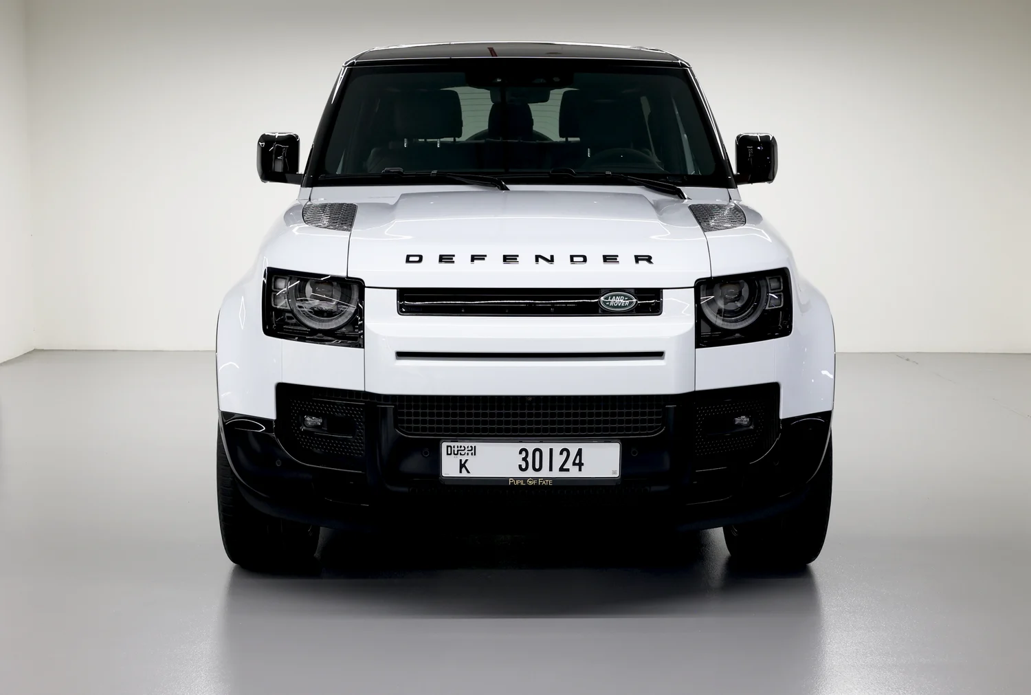 LAND ROVER DEFENDER 2023