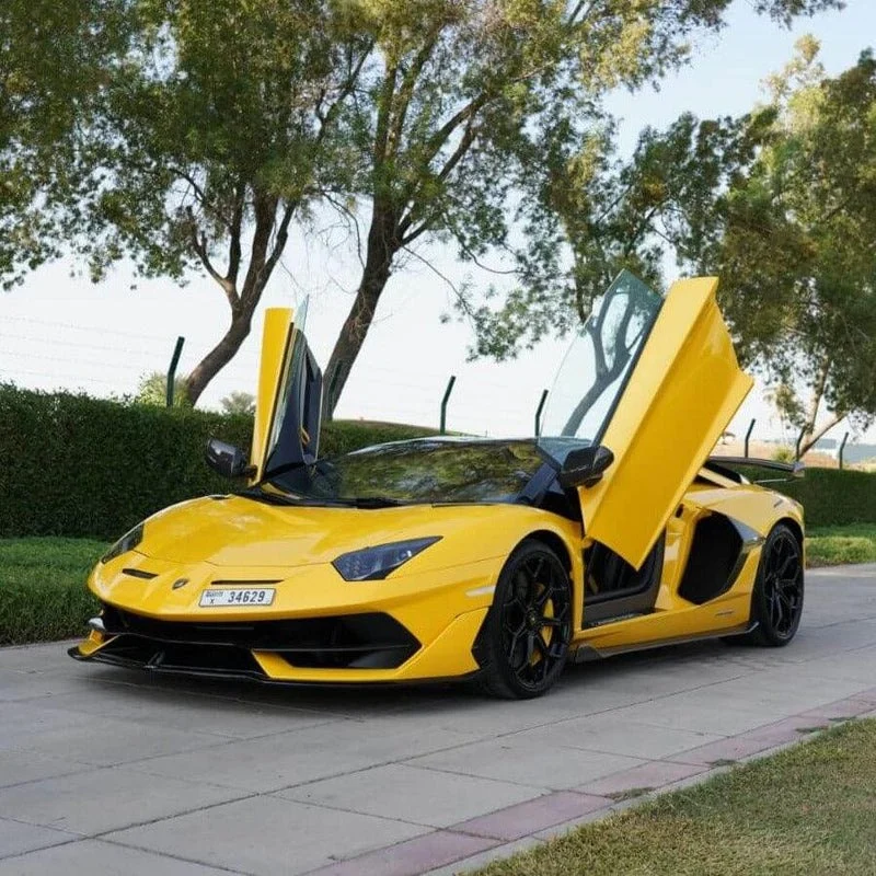 LAMBORGHINI AVENTADOR 2023