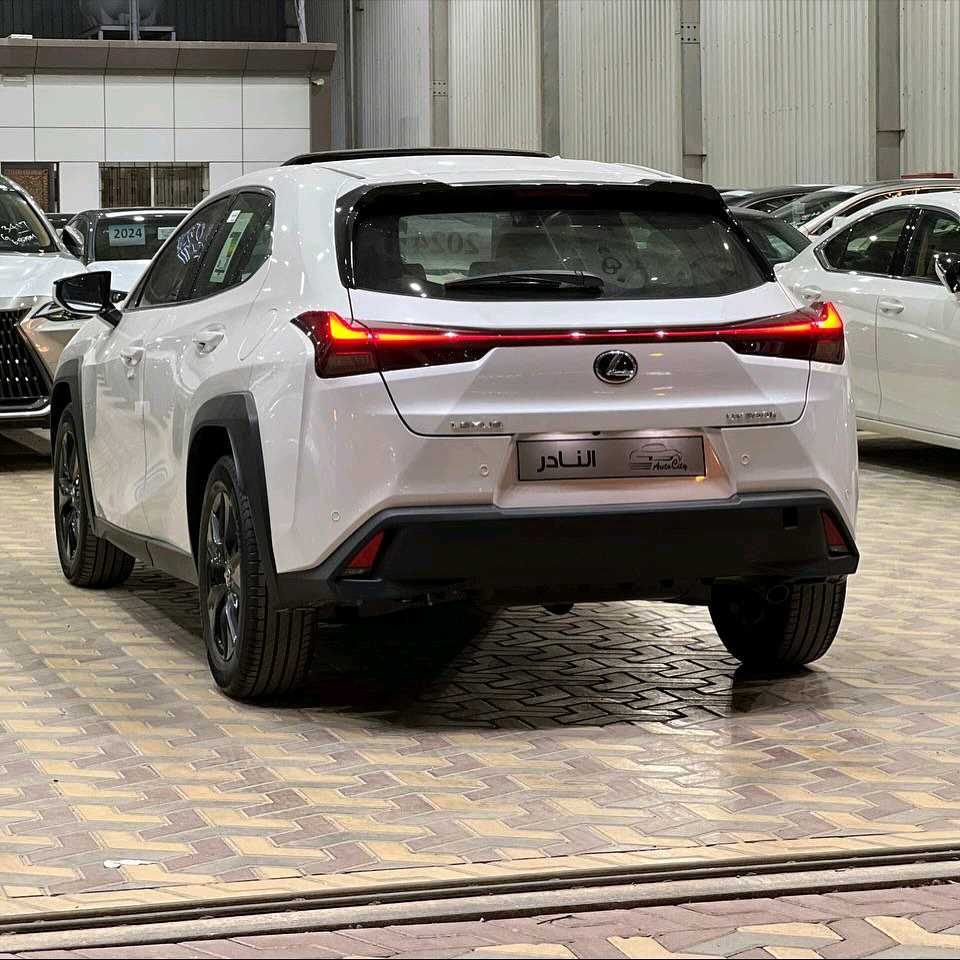 Car Image 2024 LEXUS UX 300