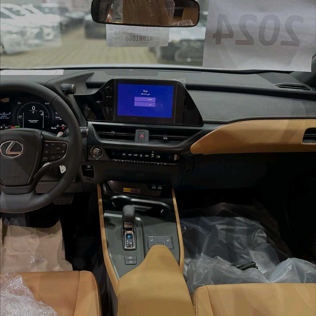 Car Image 2024 LEXUS UX 300