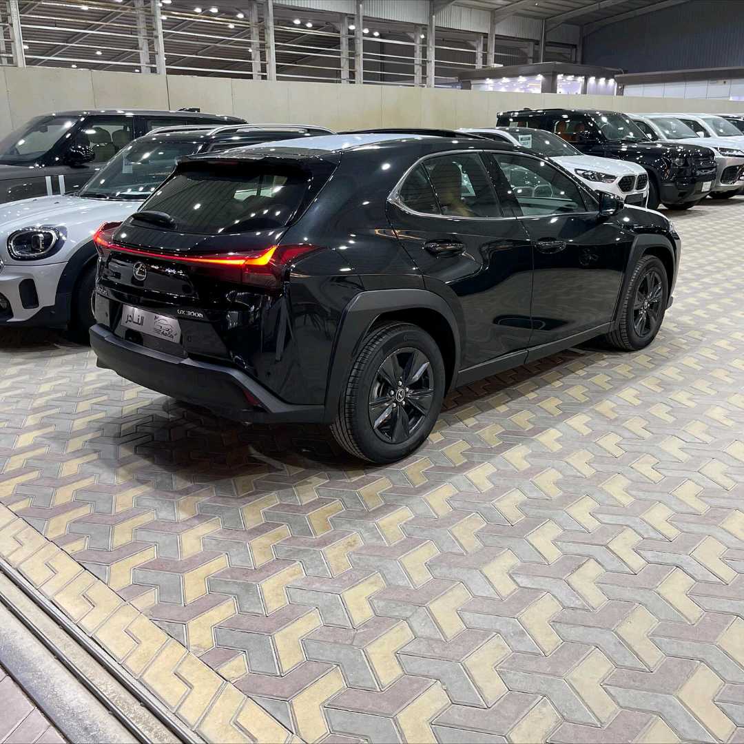 Car Image 2024 LEXUS UX 300