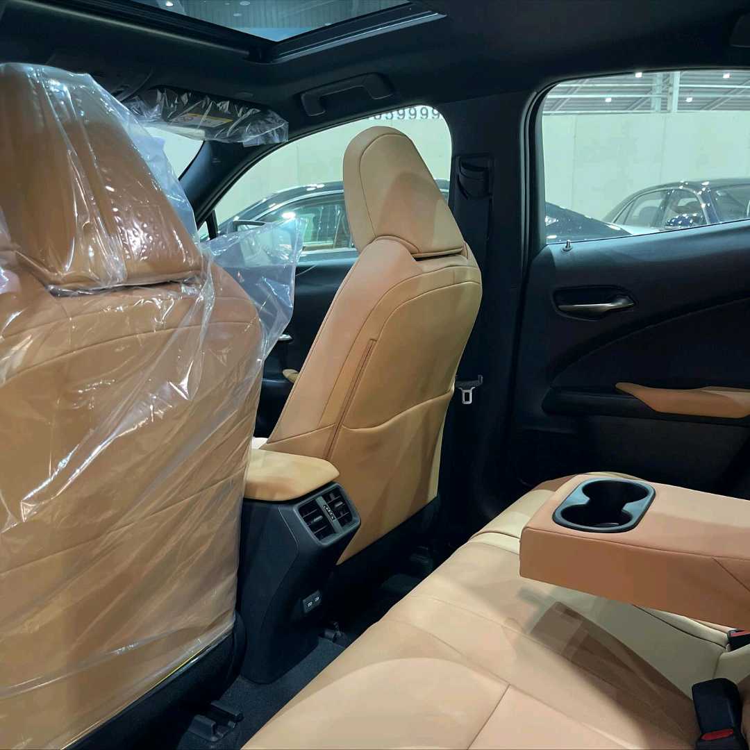 Car Image 2024 LEXUS UX 300