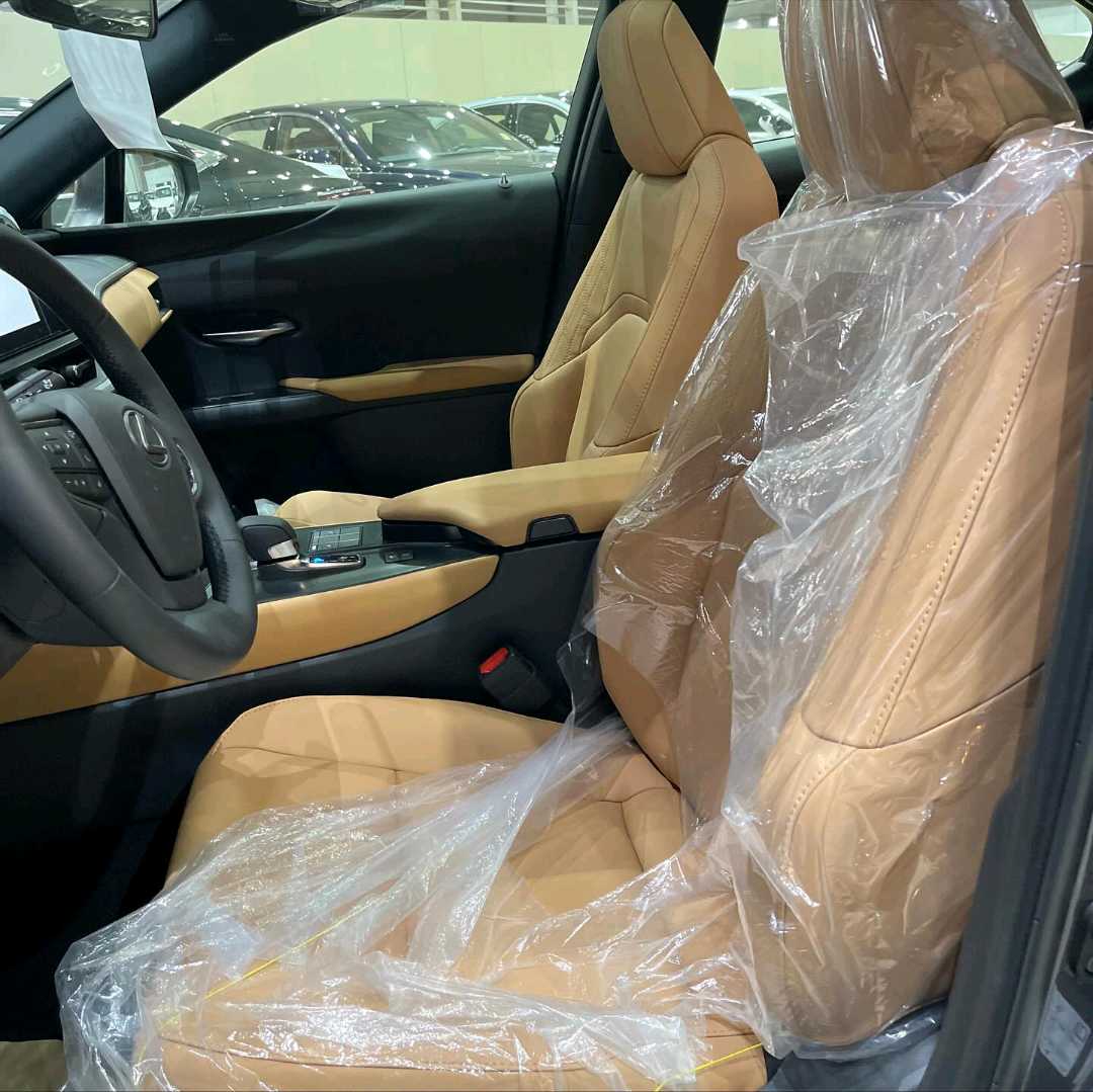 Car Image 2024 LEXUS UX 300