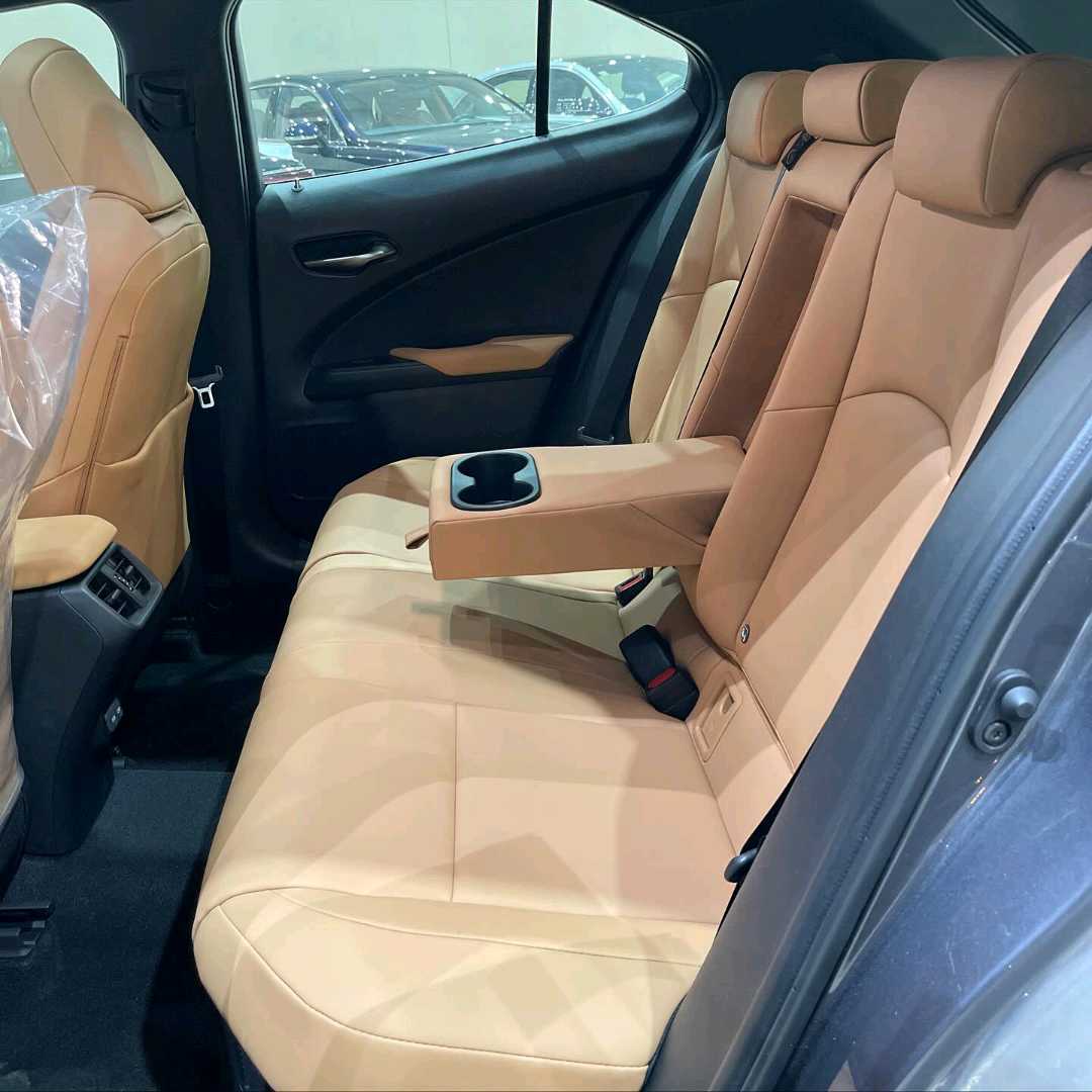 Car Image 2024 LEXUS UX 300