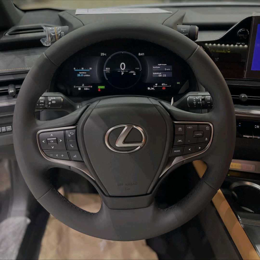 Car Image 2024 LEXUS UX 300