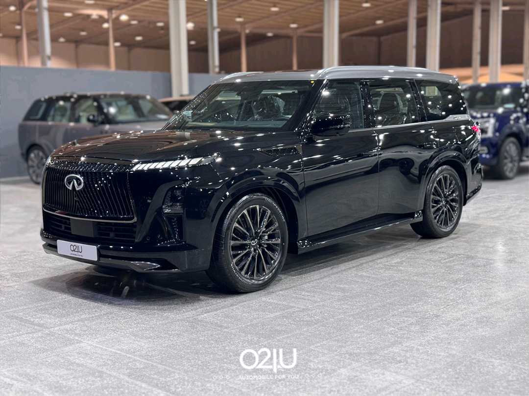 انفينتي QX80  2025