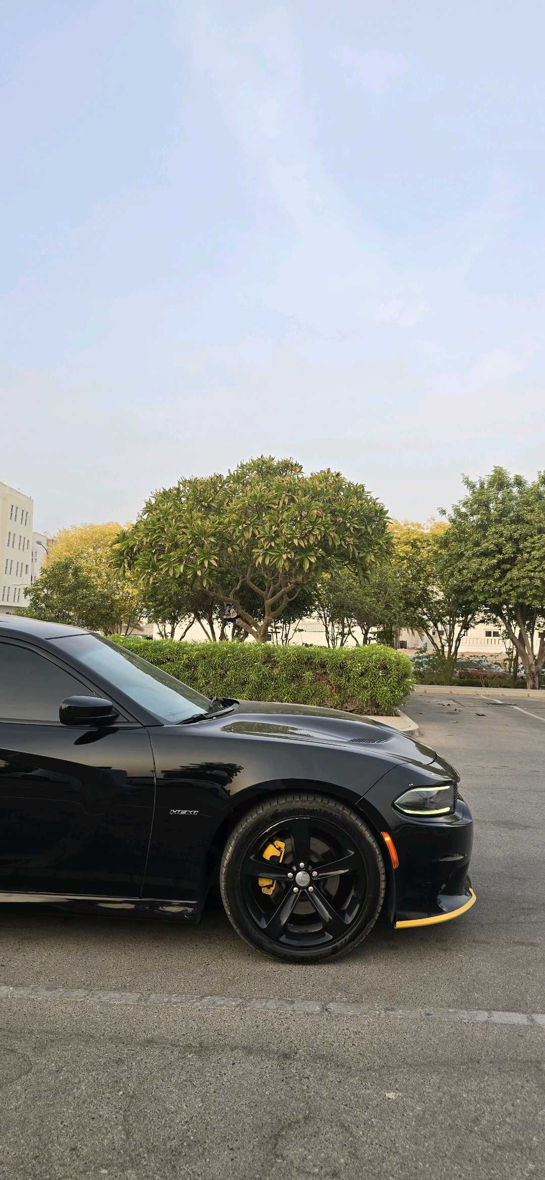 Car Image 2016 DODGE CHARGER R/T