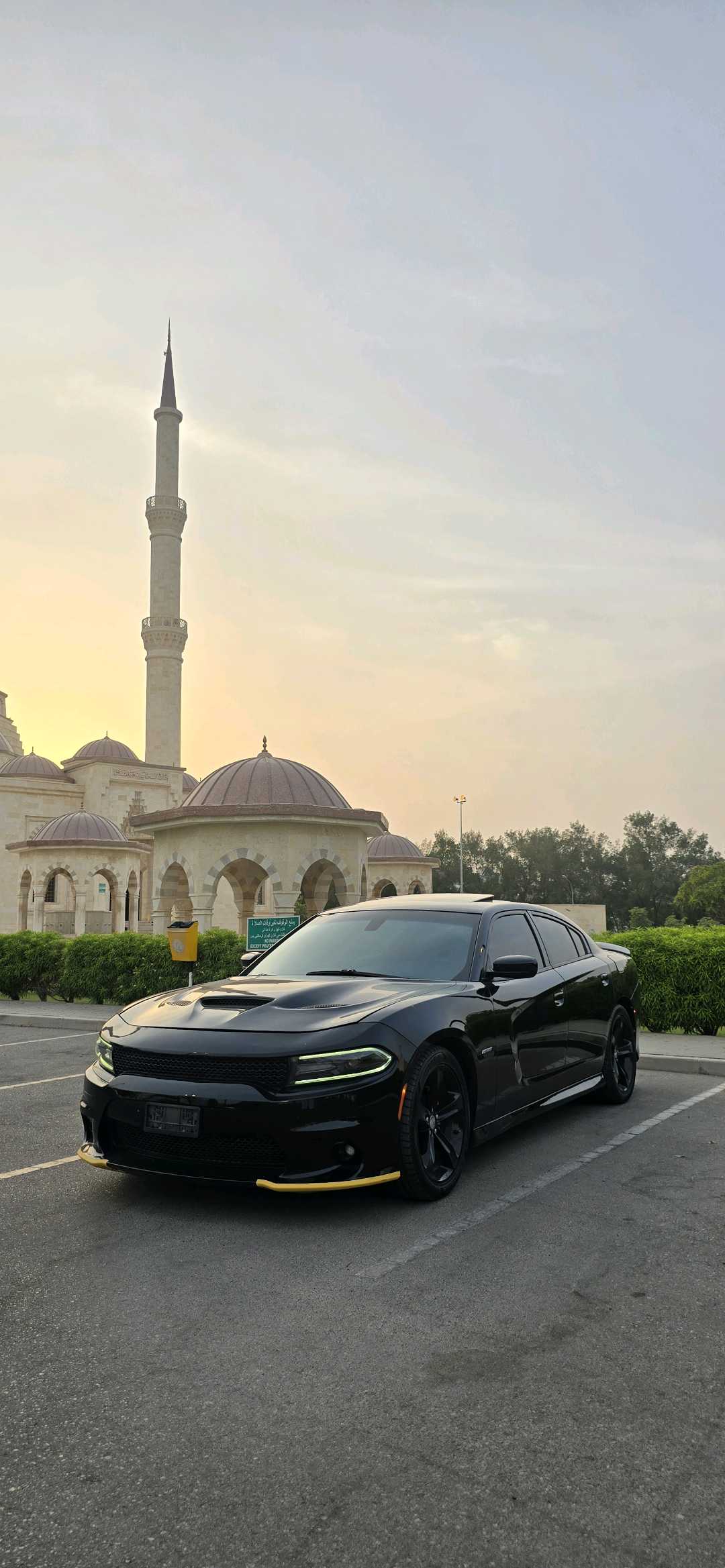 Car Image 2016 DODGE CHARGER R/T