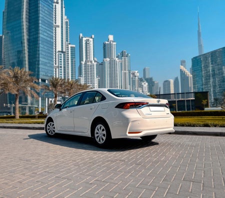 TOYOTA COROLLA 2023