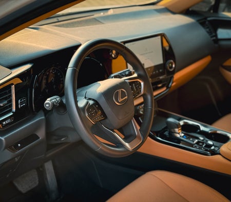 LEXUS NX 2025