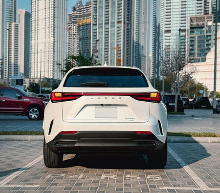 LEXUS NX 2025