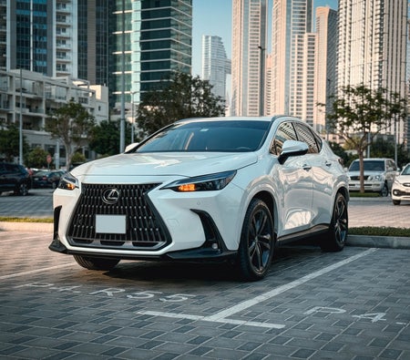 LEXUS NX 2025