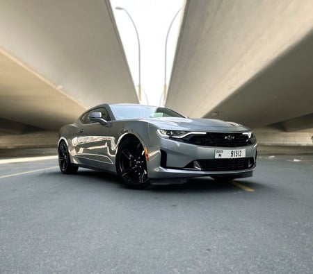 CHEVROLET CAMARO 2023