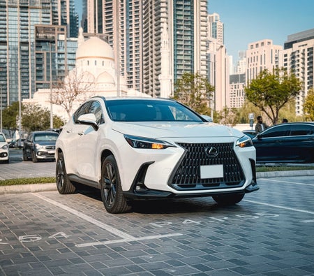 LEXUS NX 2025
