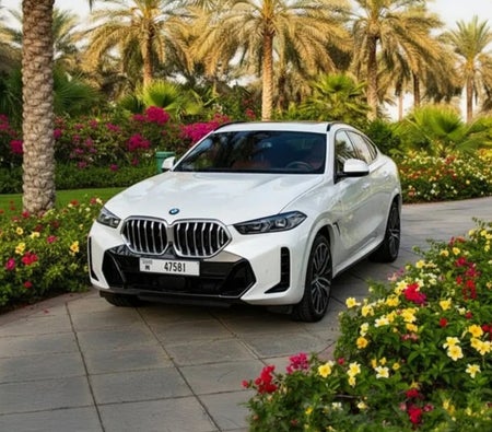 BMW X6 2026