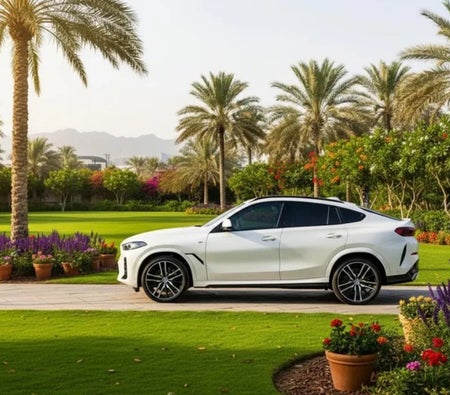 BMW X6 2026