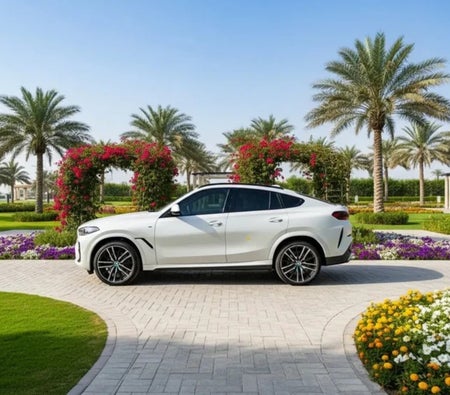 BMW X6 2026
