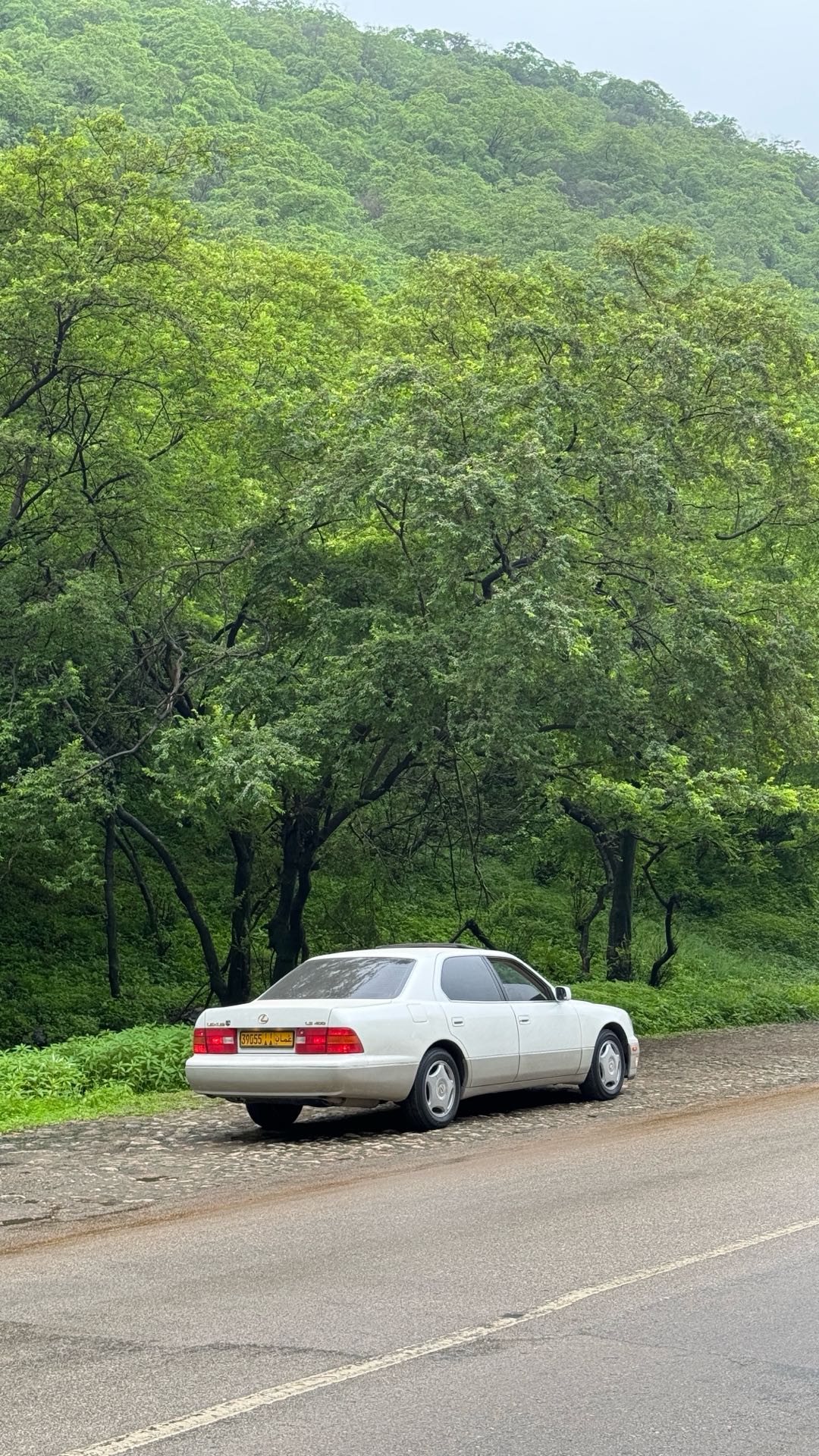 Car Image 1999 LEXUS LS 400