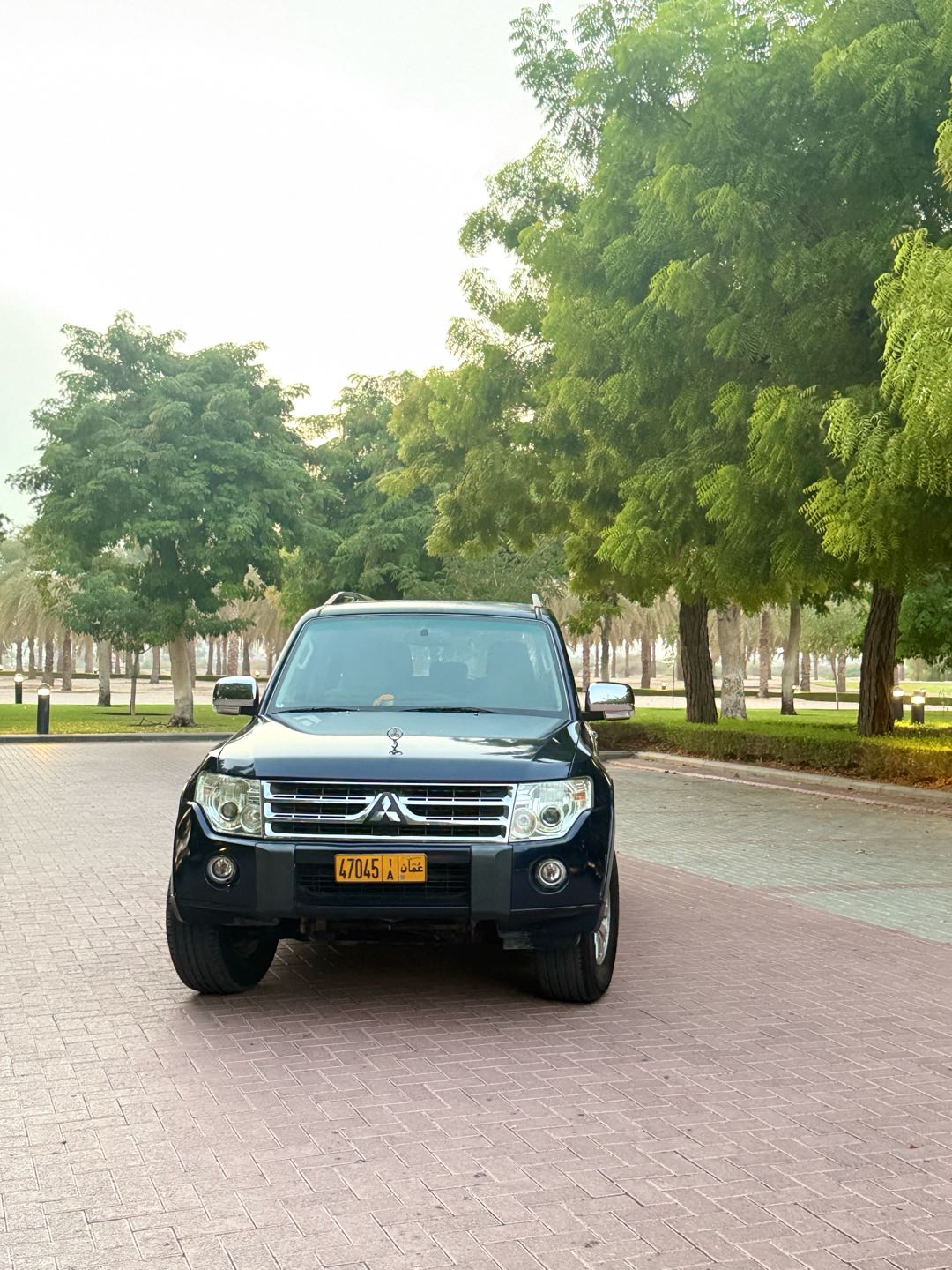 Car Image 2010 MITSUBISHI PAJERO GLS