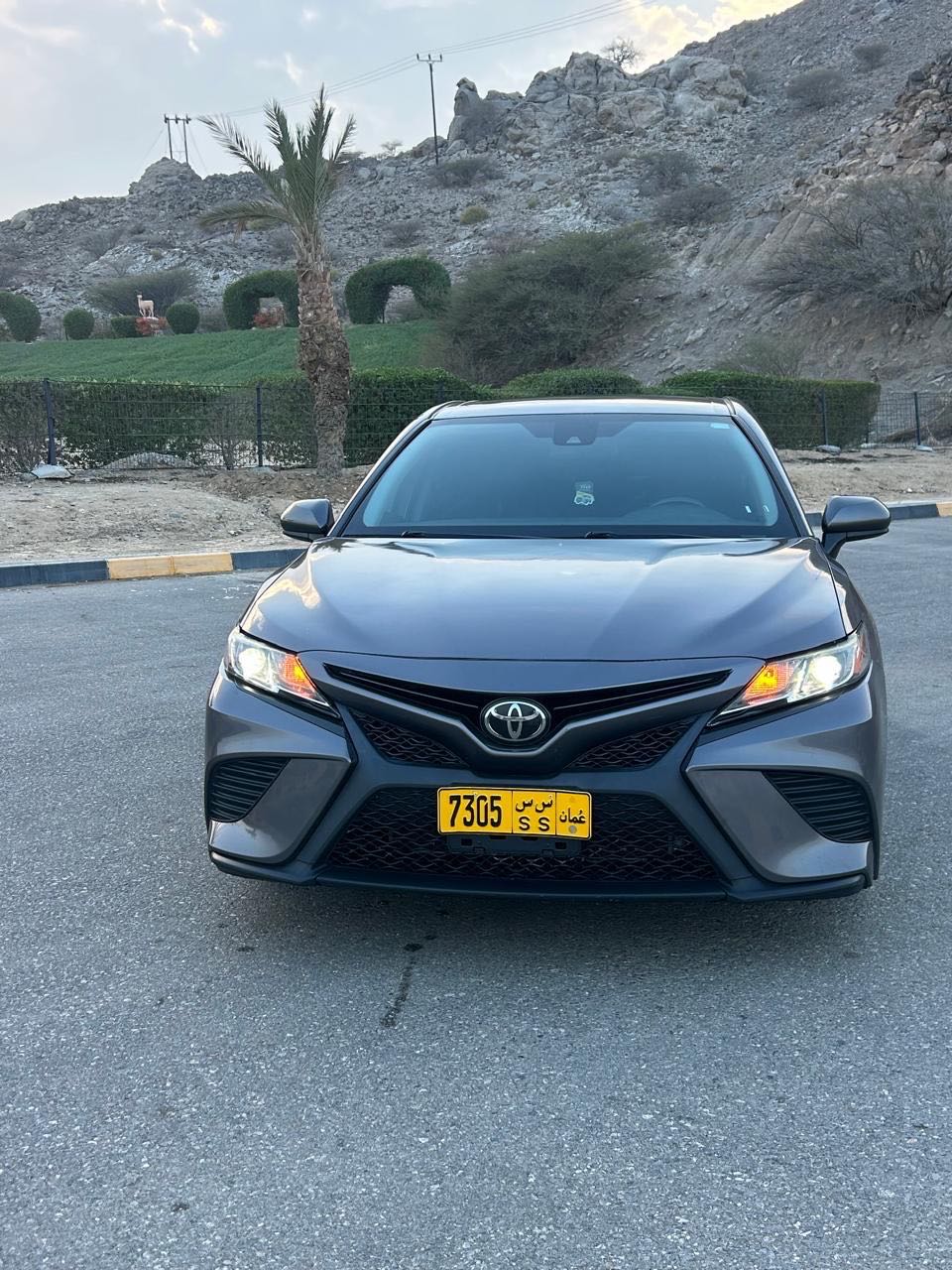 Car Image 2019 TOYOTA CAMRY SE