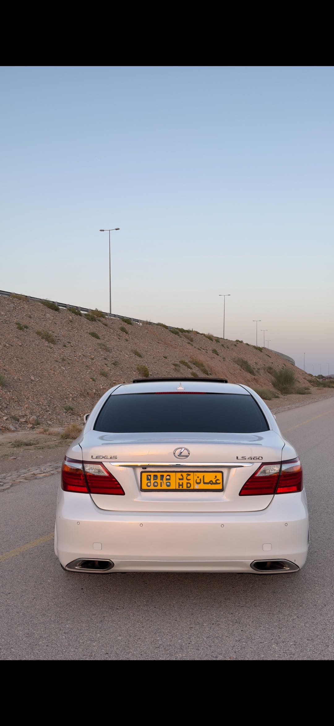 Car Image 2010 LEXUS LS 460