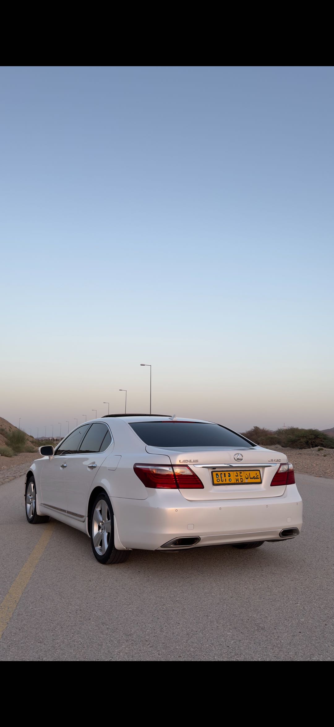 Car Image 2010 LEXUS LS 460