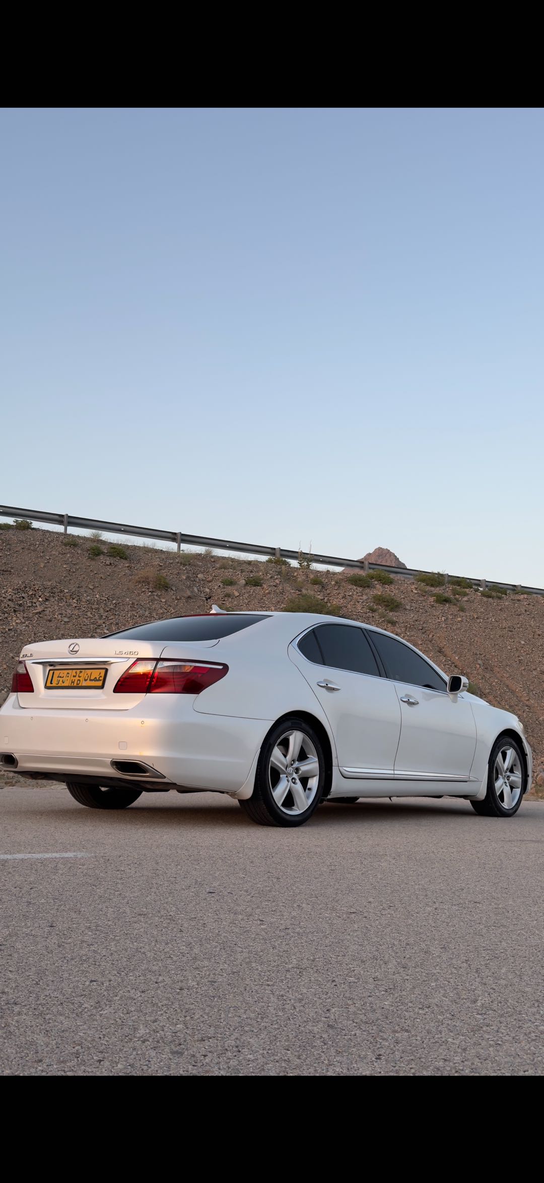 Car Image 2010 LEXUS LS 460