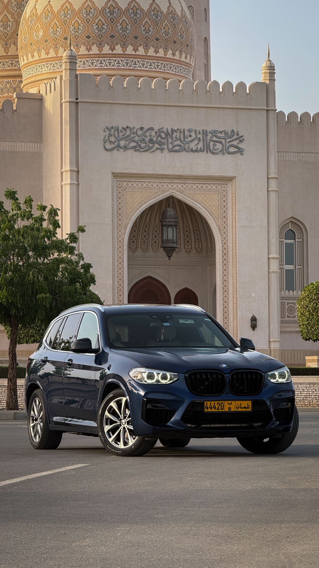 Car Image 2019 BMW X3 30