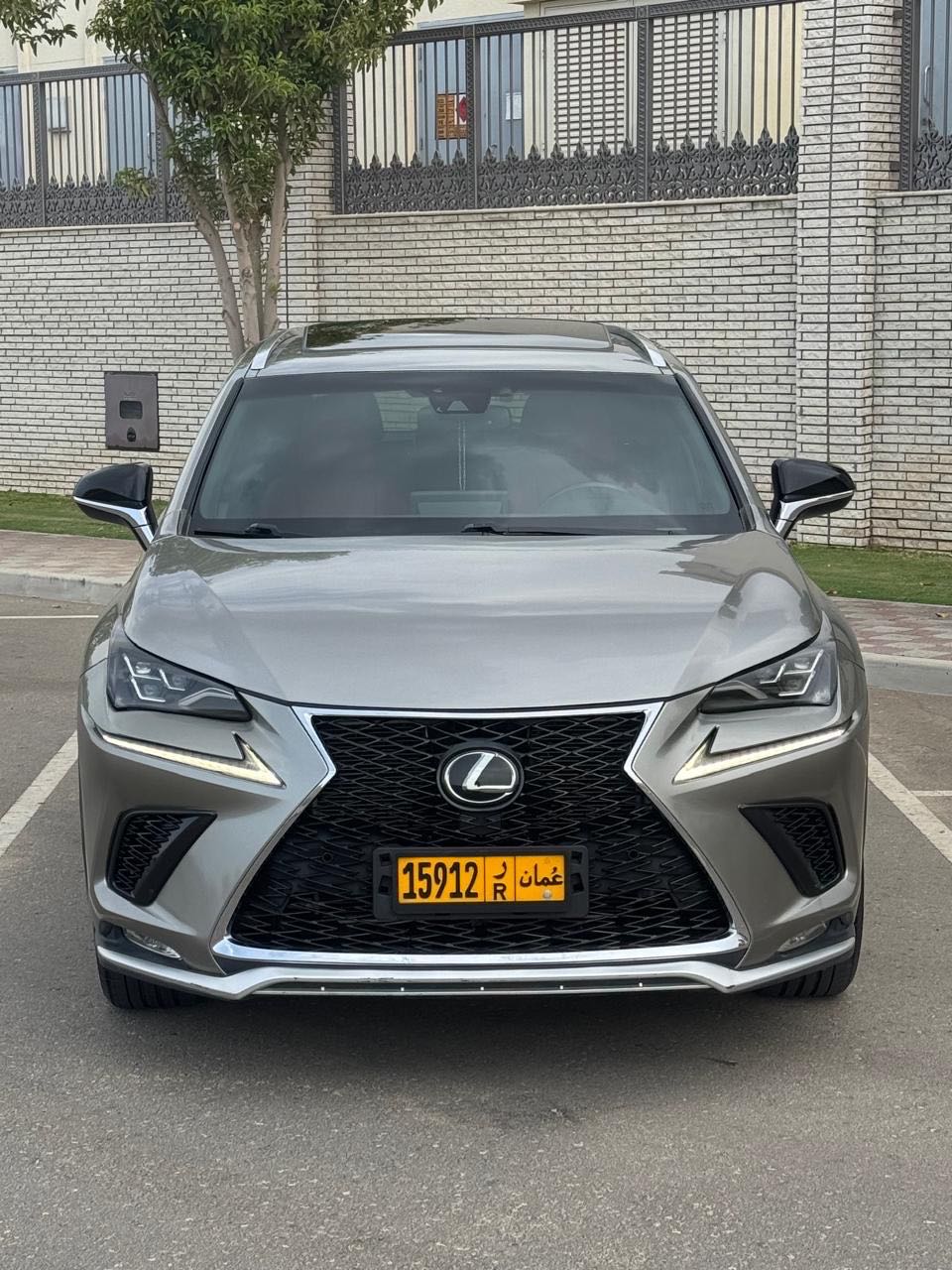 Car Image 2020 LEXUS NX 300 Platinum
