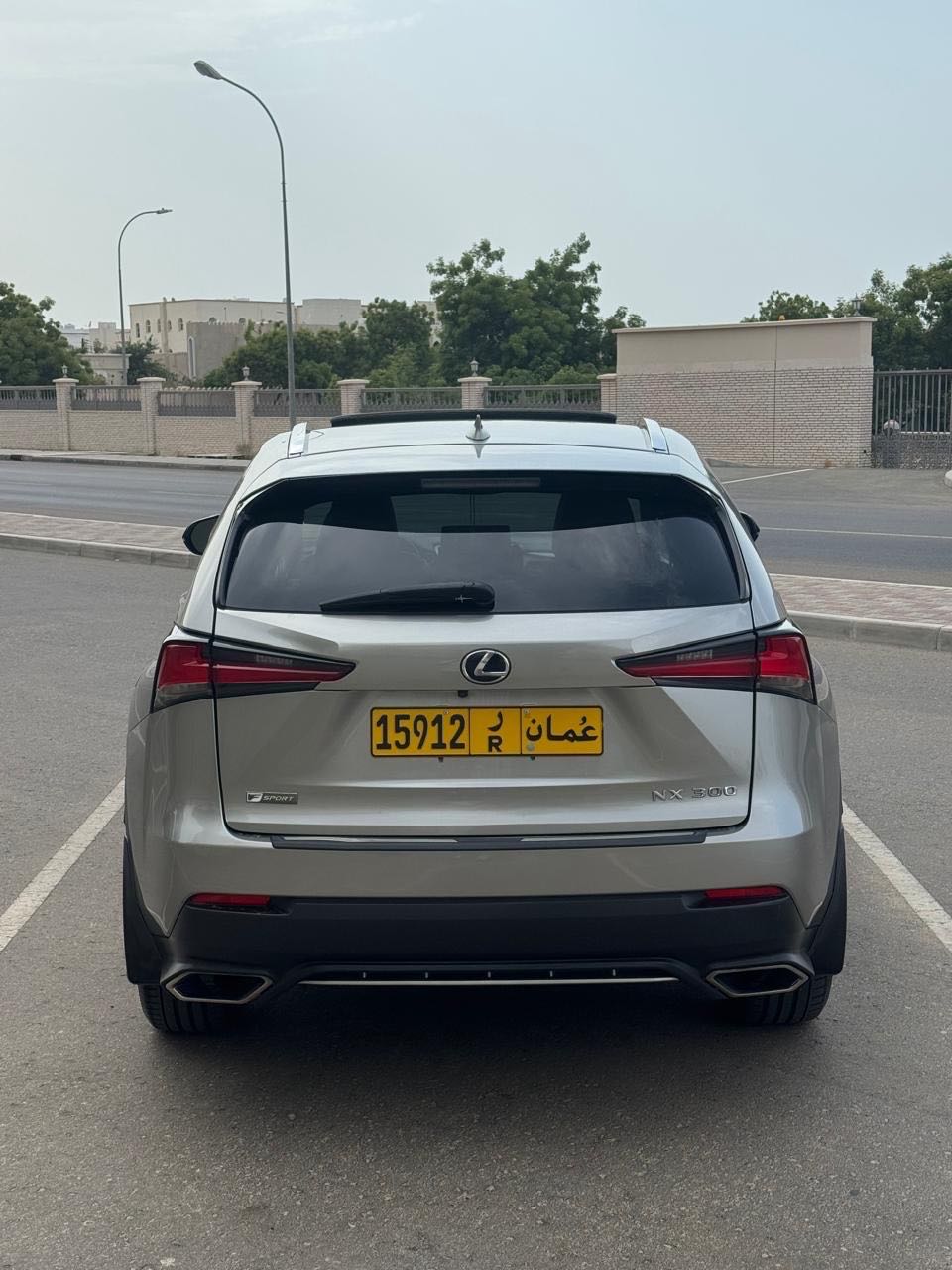 Car Image 2020 LEXUS NX 300 Platinum