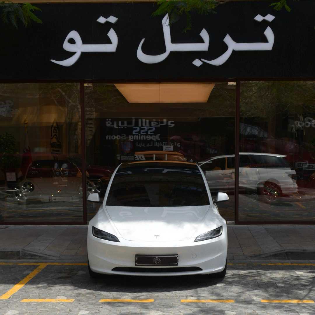 Car Image 2025 TESLA Model 3 